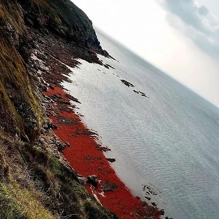 Ker Goh Velin Saint-Gildas-de-Rhuys